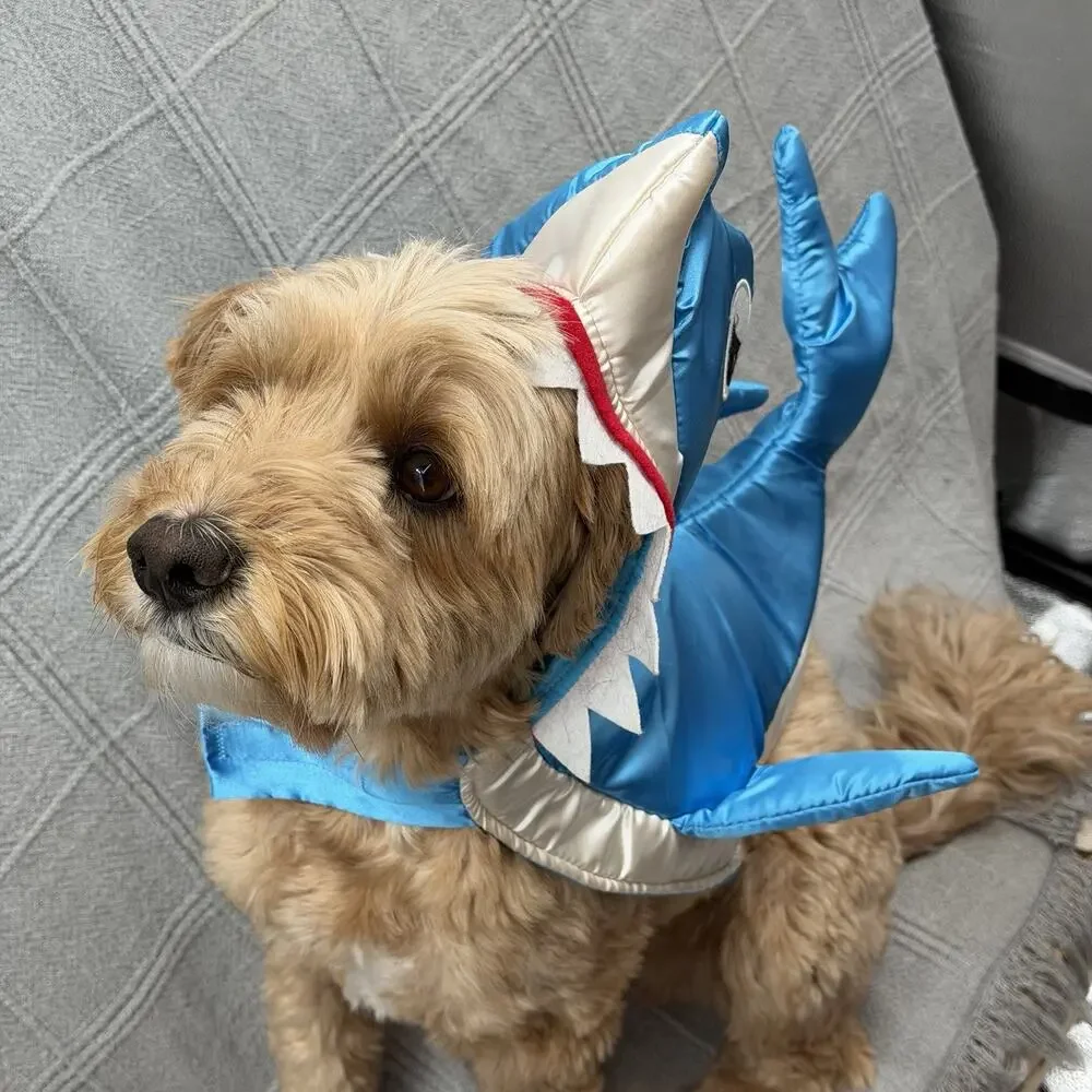 Shiny Blue SHARK Halloween Dog Costume Size Small Pet Dress Up Fin Teeth Funny